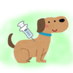 狂犬病予防接種のご予約スタートです！