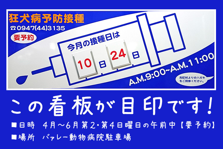 狂犬病予防接種_看板