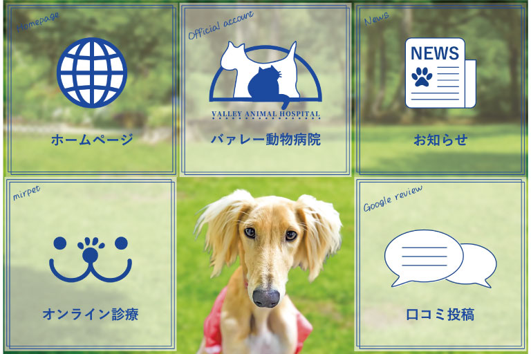 公式LINEアカウント_リッチメニュー_バァレー動物病院