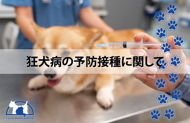 狂犬病の予防接種_田川市_バァレー動物病院
